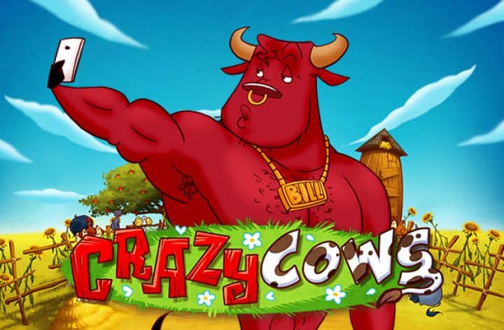 Crazy Cows slot cover image
