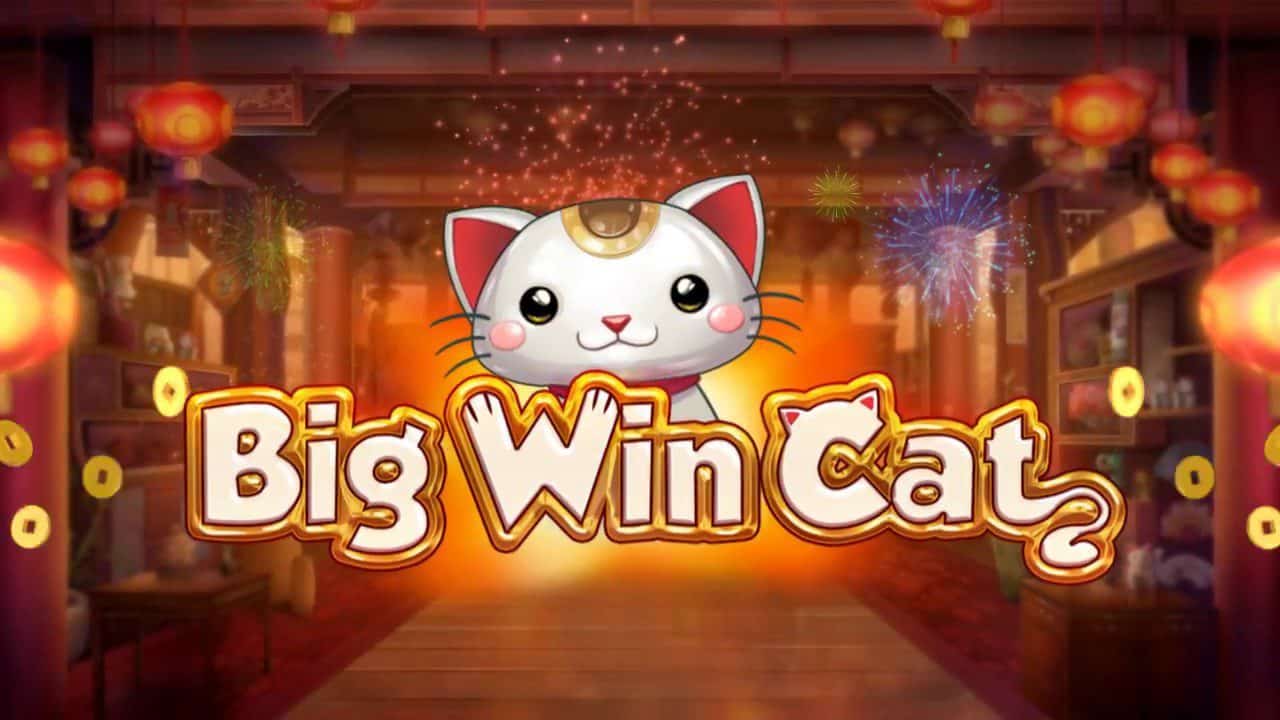 Big Win Cat slot cover image