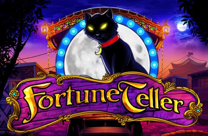 Fortune Teller slot cover image
