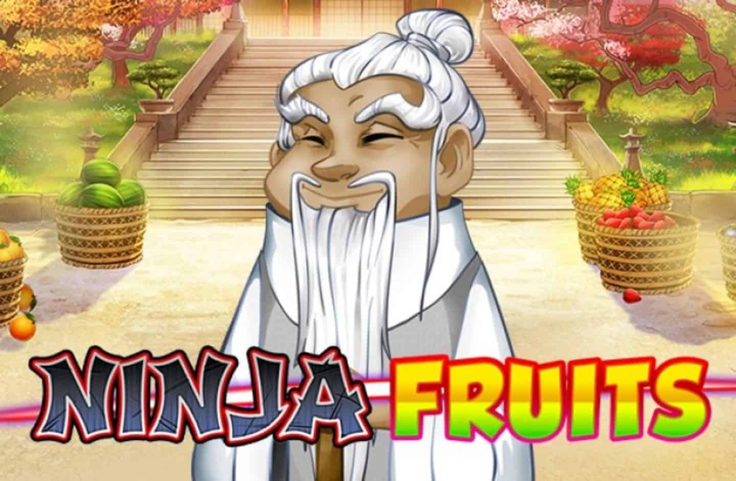 Ninja Fruits slot cover image
