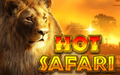 Hot Safari slot cover image