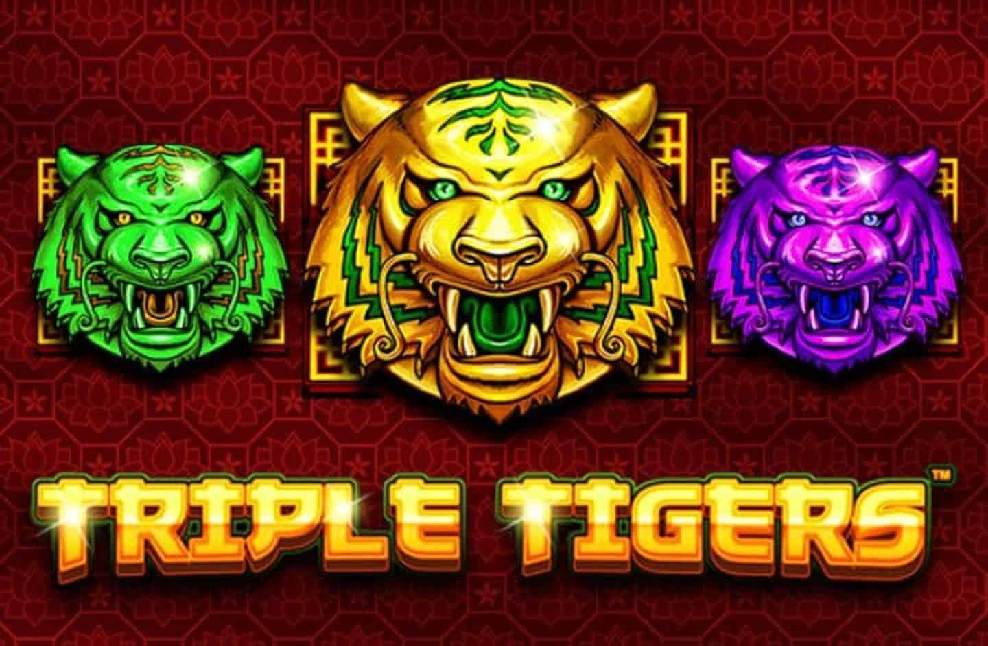 Triple Tigers slot cover image