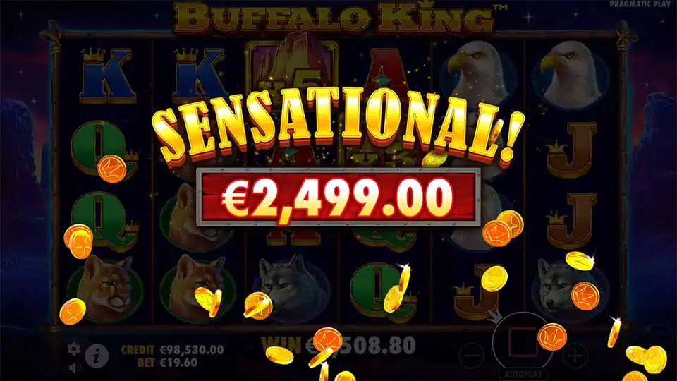 Buffalo King slot big win