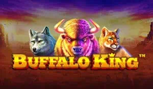 Buffalo King