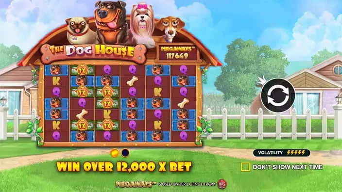 The Dog House Megaways slot features 1