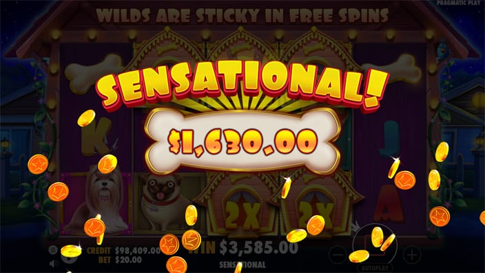 The Dog House slot big win