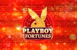 Playboy Fortune Hyperspins slot cover image