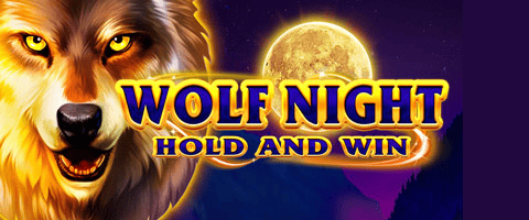 Wolf Night Hold and Win slot cover image