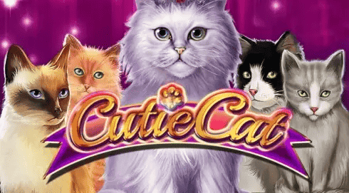 Cutie Cat slot cover image