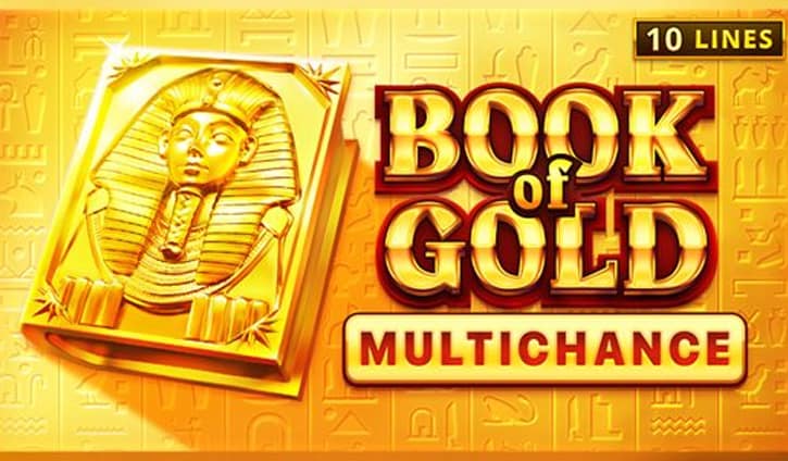 Book of Gold Multichance slot cover image
