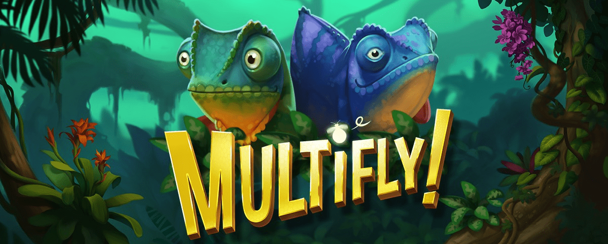 Multifly slot cover image