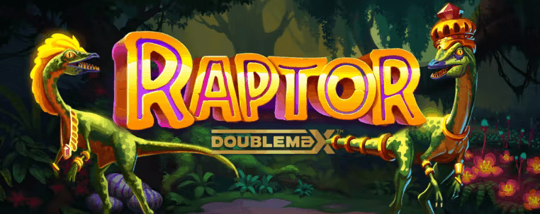 Raptor DoubleMax slot cover image
