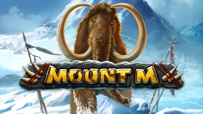 Mount M slot cover image