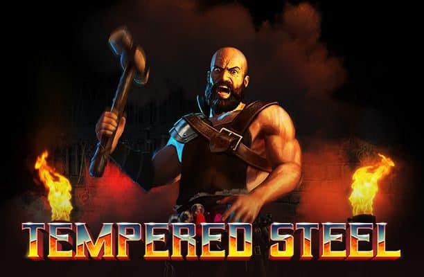 Tempered Steel slot cover image