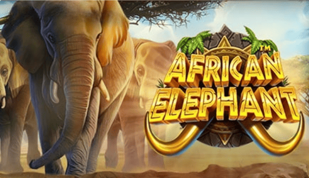 African Elephant slot cover image