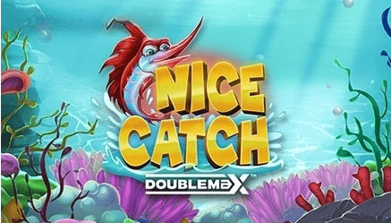 Nice Catch DoubleMax slot cover image