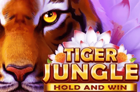 Tiger Jungle Hold and Win slot cover image