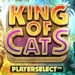 King of Cats Megaways