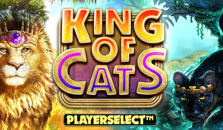 King of Cats Megaways slot cover image