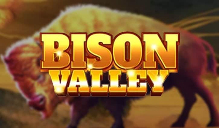 Bison Valley slot cover image