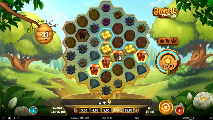 Honey Rush 100 slot sticky wild feature
