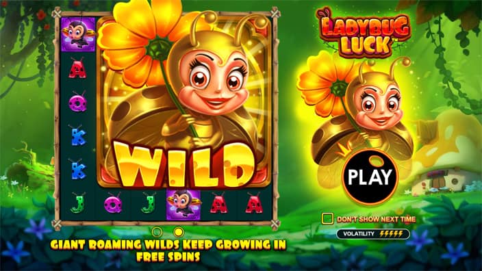Ladybug Luck slot features