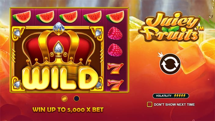 Juicy Fruits slot features