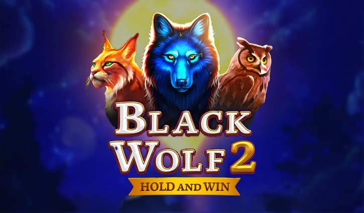 Black Wolf 2 slot cover image