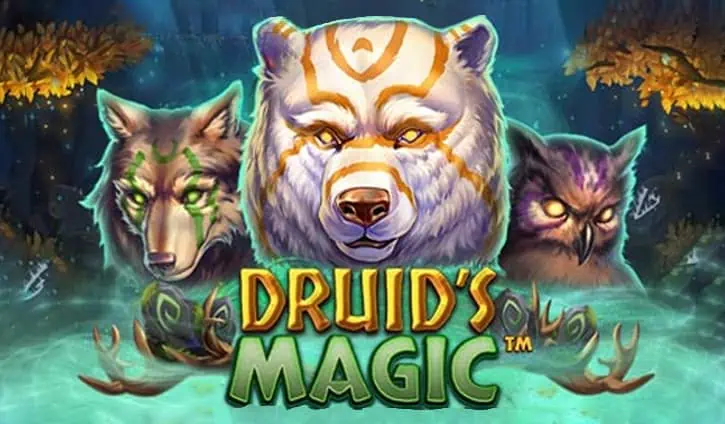 Druid’s Magic slot cover image