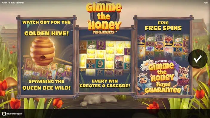 Gimme the Honey Megaways slot features