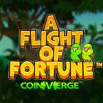 A Flight of Fortune