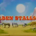 Golden Stallion