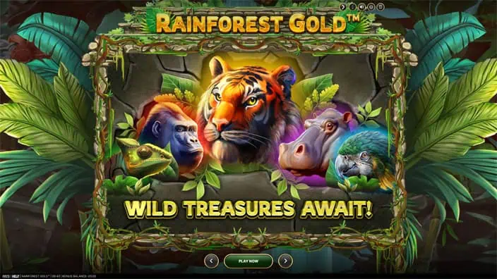 Rainforest Gold slot features