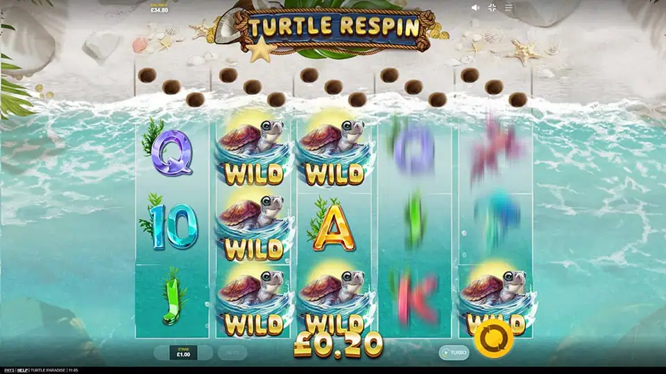 Turtle Paradise slot feature turtle respins