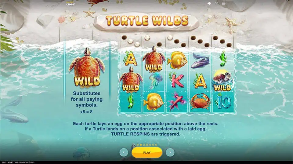 Turtle Paradise slot feature turtle wilds