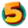 Logo of 5Gringos