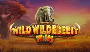 Wild Wildebeest Wins