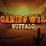 Roaming Wild Buffalo