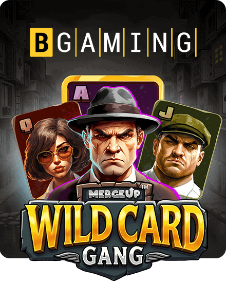 Visual BGaming – Wild Card Gang