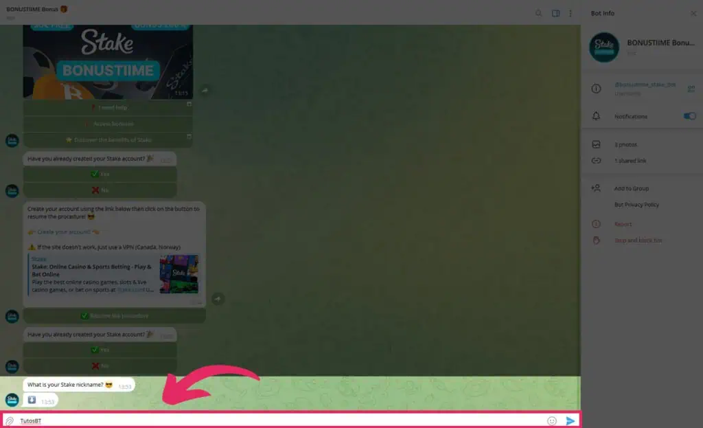 Step where the BonusTiime Stake bot asks for the user’s Stake username.