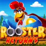 Rooster Returns