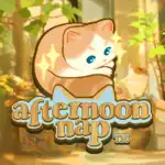 Afternoon Nap