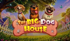 The Big Dog House