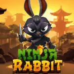Ninja Rabbit