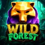 Wild Forest