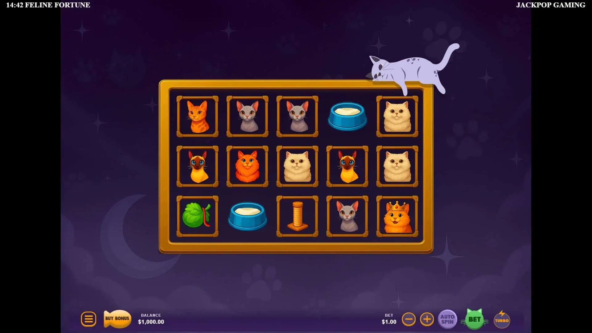 Feline Fortune slot gameplay reels