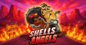 Shells Angels