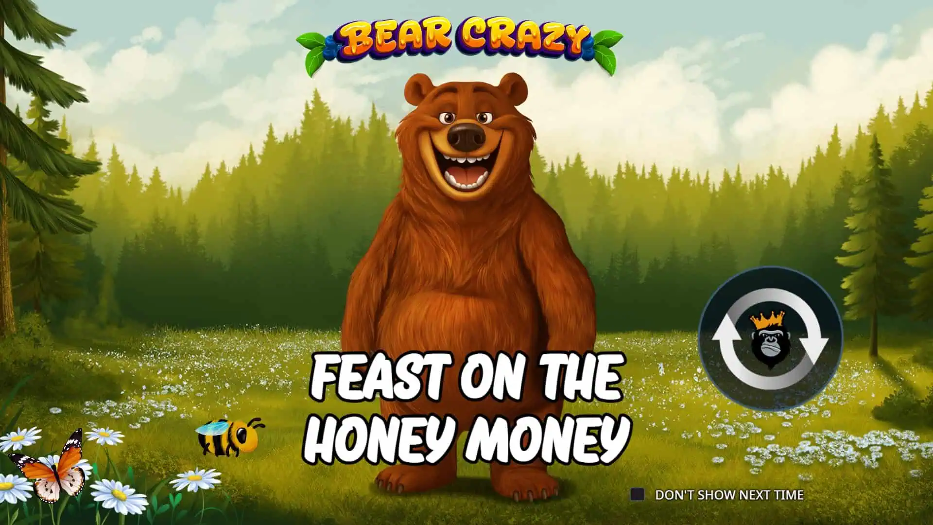 Bear Crazy slot intro screen