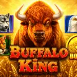 Buffalo King