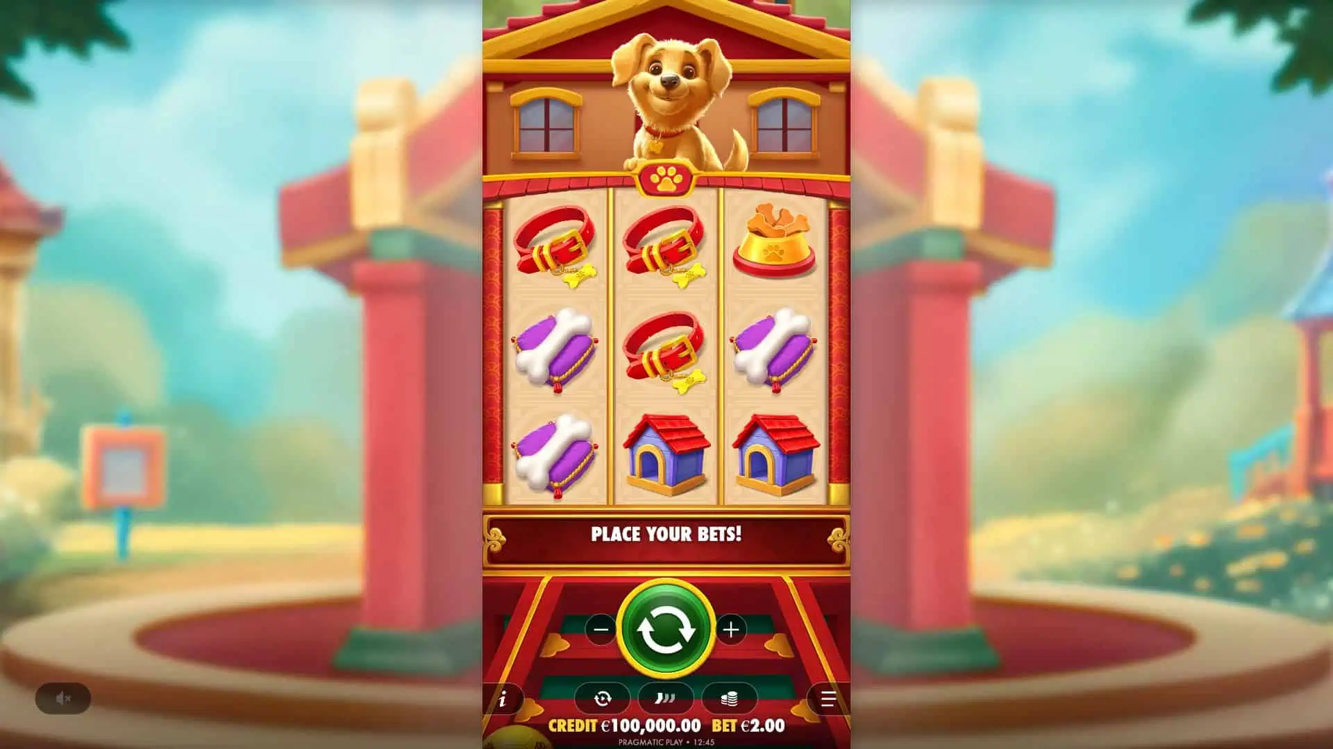 Cachorro Sortudo slot gameplay reels